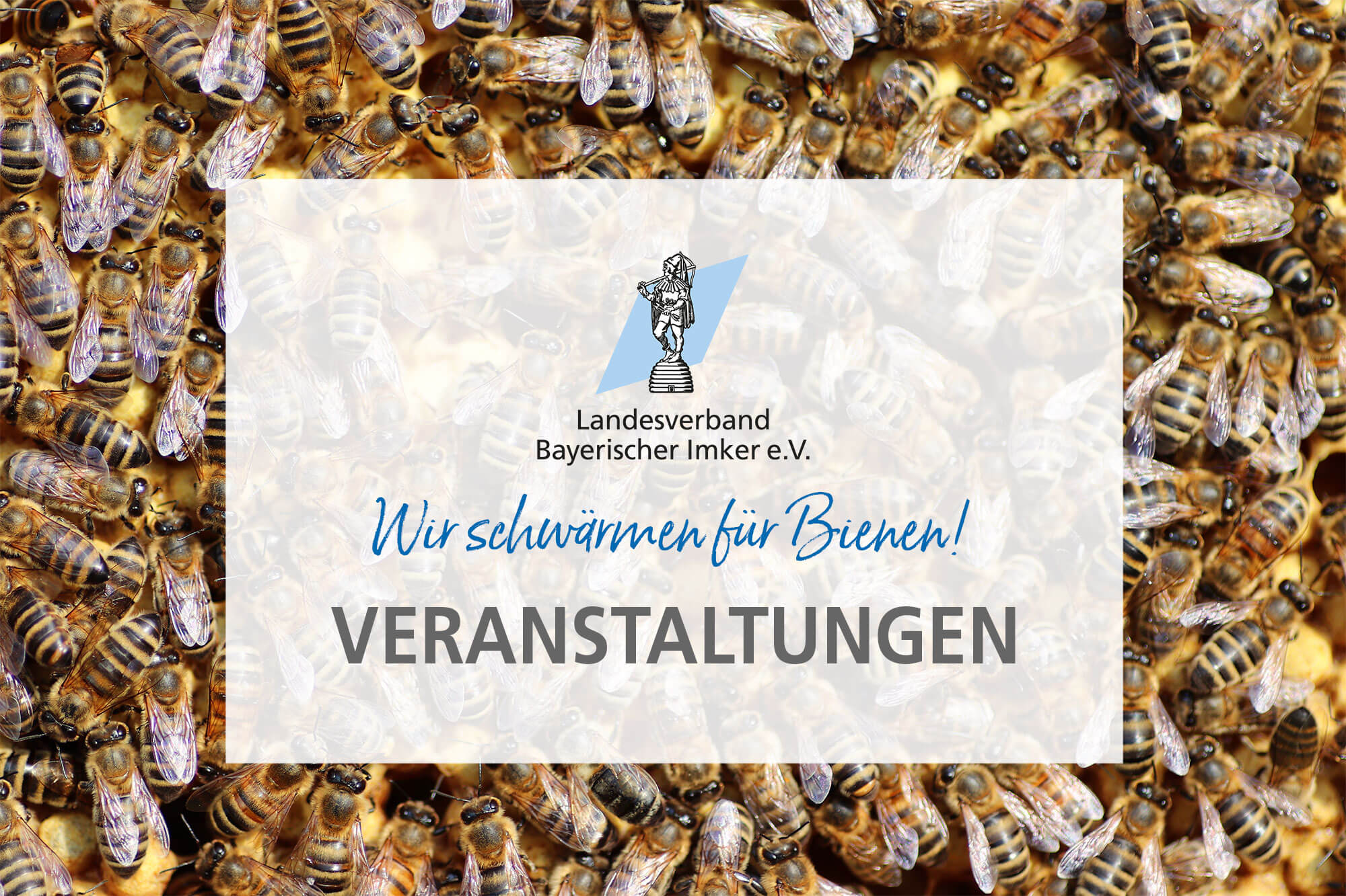 Neues vom LVBI